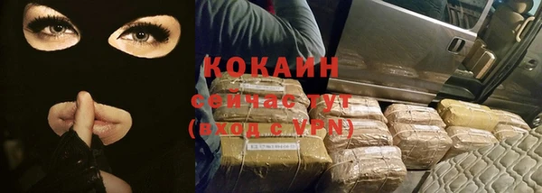 ешки Вяземский