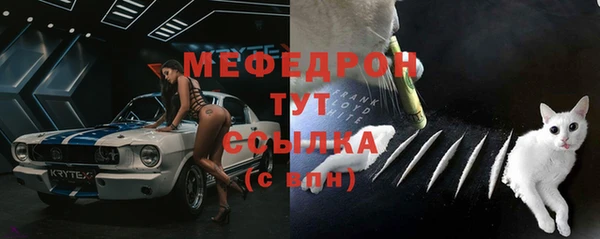 ешки Вяземский