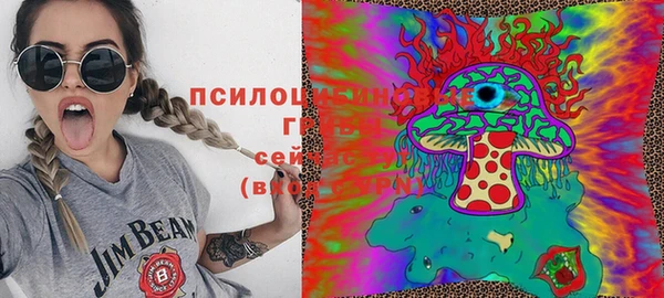 ешки Вяземский