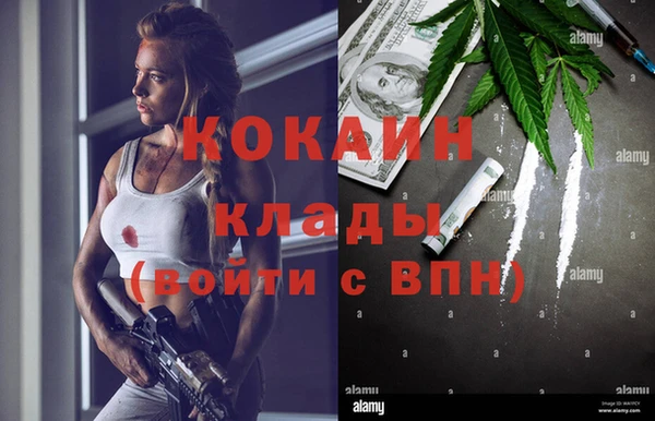 PSILOCYBIN Рославль